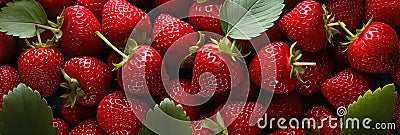 A close up of a bunch of strawberries. Sweet fruits background Stock Photo