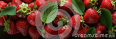 A close up of a bunch of strawberries. Sweet fruits background Stock Photo