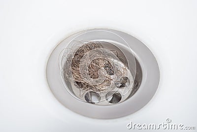 Close-up of a bundle of loose hair obstructing the bathroom drain. Hair clogging the drain. Stock Photo
