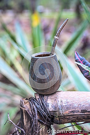 Close up of calabash cup with spill of yerba mate tea and straw Stock Photo