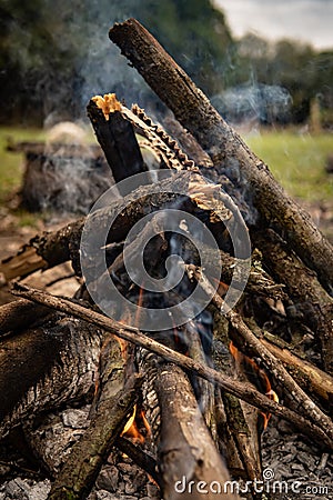 Close-up of a campfire in a meadow surrounded by trees. Stock Photo