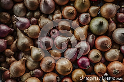 Close up captures abundance of fresh, ripe yellow onions Stock Photo