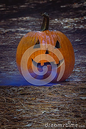 Smoking jack o' lantern in the forest Stock Photo