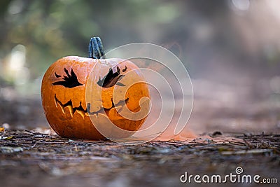 Smoking jack o' lantern in the forest Stock Photo