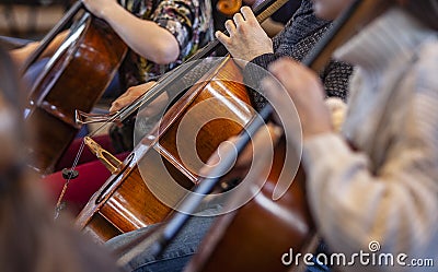 Close-up of cellos - Rehearsal before the symphony concert Stock Photo