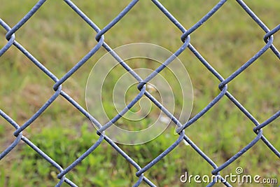 Close Up Of Chain Link Fence Stock Photo