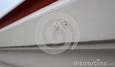 Close up chains hooks on white concrete wall with sunlight Stock Photo