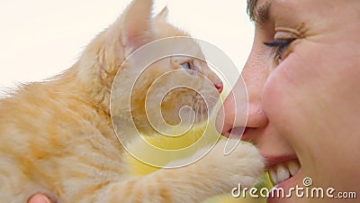 CLOSE UP: Cheerful Caucasian girl holds up a cute tabby kitten up to her face. Stock Photo