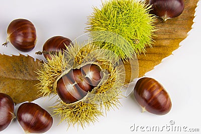 Close up of chestnuts husk and brown leaves Stock Photo