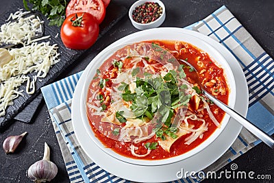 Close-up of chicken lasagna soup, top view Stock Photo