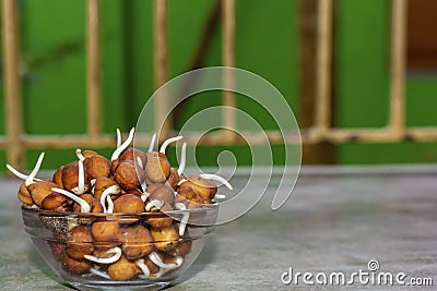 Close up of Chickpeas or bengal gram sprouts on a bowl with green background. Stock Photo