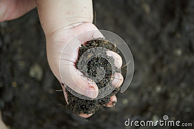 Close up Child hand carry black and organic soil. Stock Photo