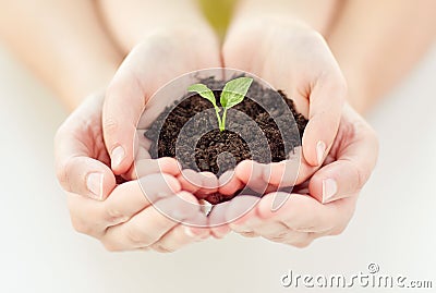 Close up of child and parent hands holding sprout Stock Photo