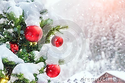 Close-up christmas tree with colorful decoration ball , snowflakes and snow on spruce branches during snowfall in winter outdoors Stock Photo