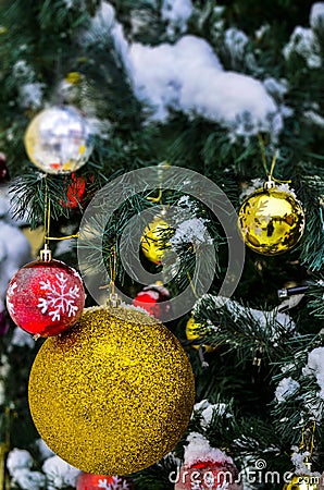 Close-up of a Christmas tree toy on a snow-covered Christmas tree on the eve of the holiday New Year and Christmas. Stock Photo