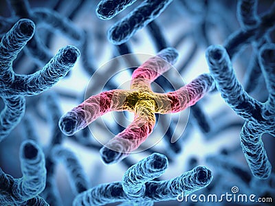 Close up chromosome cluster 3d rendering illustration Cartoon Illustration