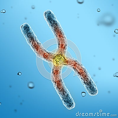 Close up chromosome 3d rendering illustration Cartoon Illustration