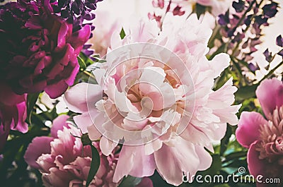 Close up of colorful bouquet of beautiful flowers peony paeonia . Vintage retro tone. Floral background Stock Photo