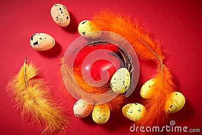 Colorful Easter Eggs with one big red egg in the nest with colored feathers on the red background. Easter greeting Stock Photo