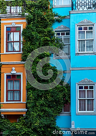 Close up of colorful buildings in Balat Istanbul with green creepers Stock Photo