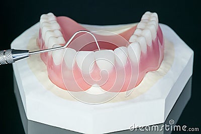 Complete denture or full denture. Stock Photo