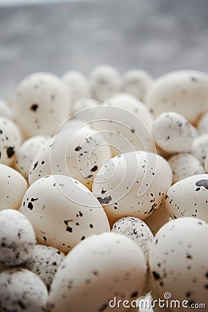 Close up composition of white traditional chicken and quail, black dotted Easter eggs Stock Photo