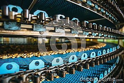 Close up of conveyor line at Confectionary factory, food industry. Cookie and pastry production Stock Photo