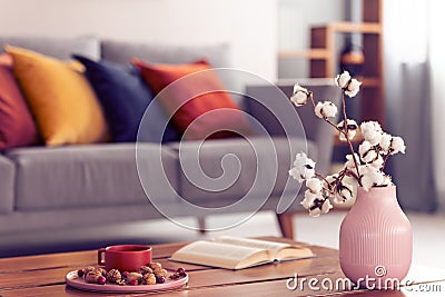 Close-up of cotton flowers in a pink vase standing on a wooden coffee table with an elegant living room interior Stock Photo