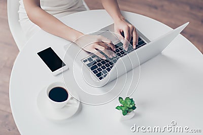 Close up cropped photo of nice hands of woman typing on the laptop at the top of white table with phone and coffee, plant Stock Photo