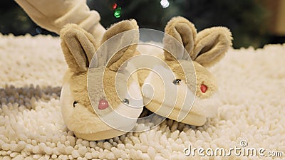 Close up on cute bunny slippers. Boy grabs them from carpet. Stock Photo