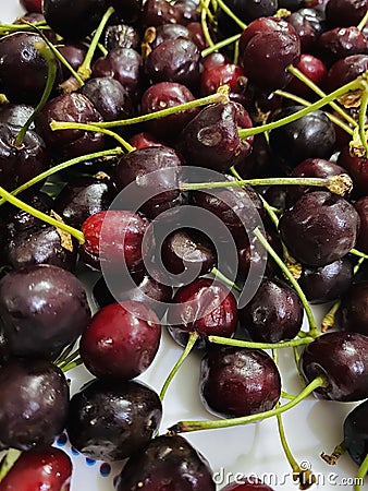 Close up of dark cherries with stems Stock Photo