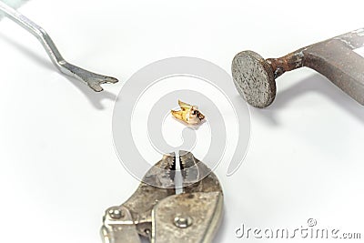 Tooth decay on a white background Stock Photo