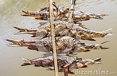Fish Skewers on Mekong River - Laos Style Stock Photo