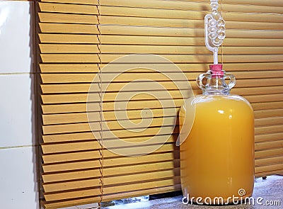 Close up of a demijohn of homemade cider. Stock Photo