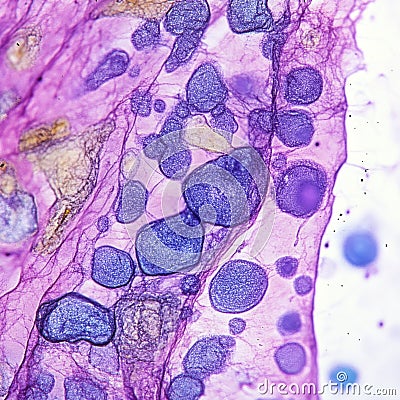 Close up of dermatological test sample showing cellular structures and textures under microscope, highlighting various shapes and Stock Photo