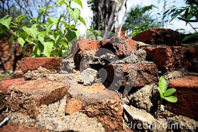 Close up of destroyed brick walls Stock Photo