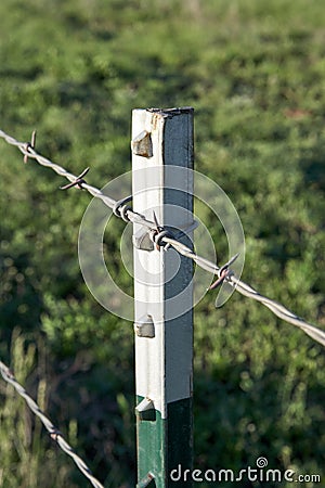 Close up detail of a barbed wire farm fence Stock Photo