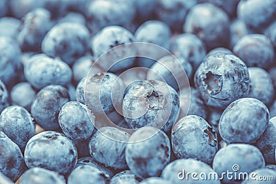 Close up of a detail fresh blueberries, macro concept Stock Photo