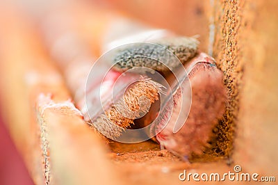 Close up of detail paint brushes over a color palette in a studio, in a blurred background Stock Photo