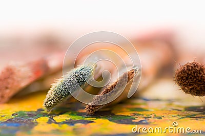 Close up of detail paint brushes over a color palette in a studio, in a blurred background Stock Photo