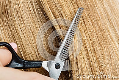Close up detail. Special scissors cutting hair. Stock Photo