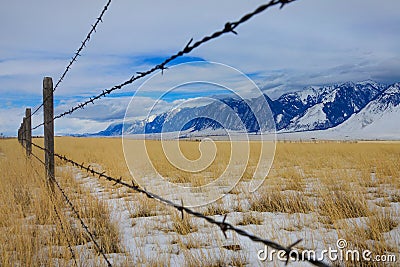 CLOSE UP: Detailed view of sharp barbed wires outlining a ranch under Rockies Stock Photo