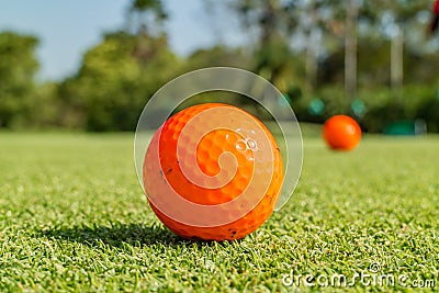 Close up the dirt golf ball on grass with blurred green golf course background. Stock Photo