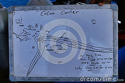 Closeup of a dive briefing table, diving spot near Maafushi Island Maldives Editorial Stock Photo