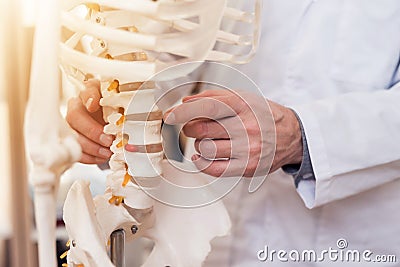 Close up. Doctor is showing vertebrae on skeleton. Stock Photo