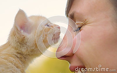 CLOSE UP, DOF: Lovely purring kitten sniffing cheerful Caucasian girl's nose. Stock Photo