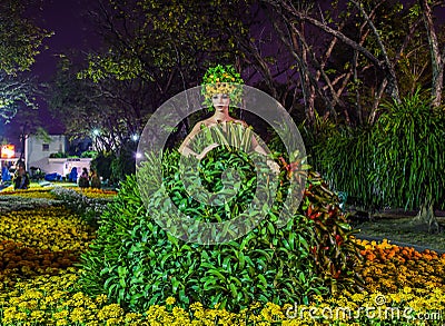 Model - Female Doll Wearing Tree Dress in Night Stock Photo