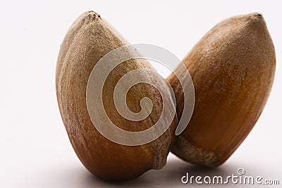 Close up of double hazelnut in a shell isolated on white background Stock Photo