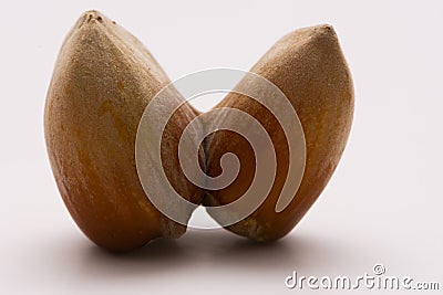 Close up of double hazelnut in a shell isolated on white background Stock Photo