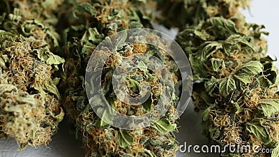 Close up dried cannabis medical marijuana stock footage Close up dried cannabis medical marijuana stock footage